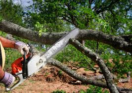 Soil Testing and Treatment in Welsh, LA